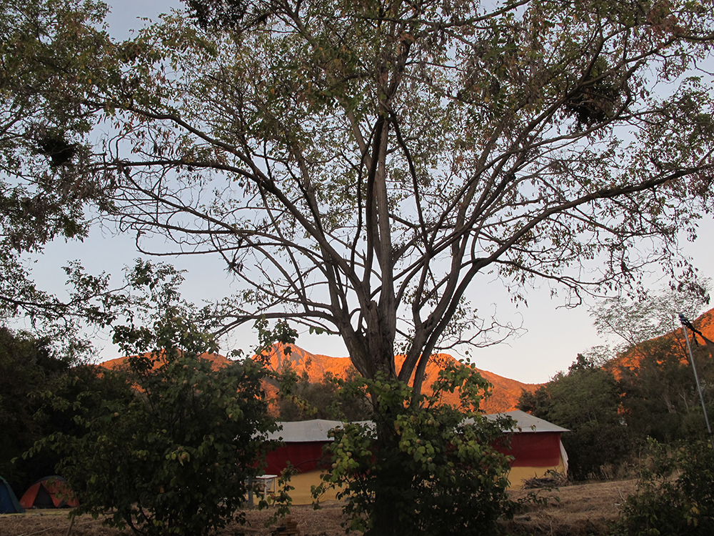 Escuela y Retiro en Olmue al lado del Parque Nacional La Campana